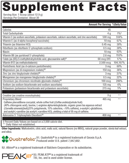 ATP Ignite™ Workout Mixed Berry 30 Servings