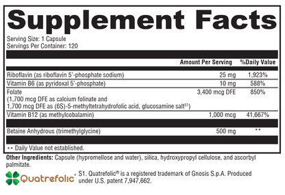 Methyl Protect® 120 Capsules