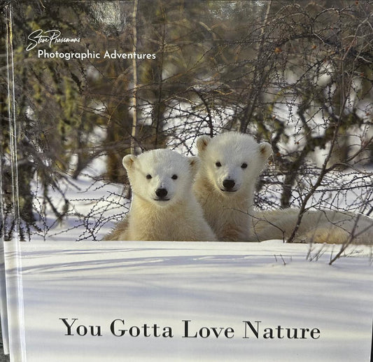 Polar Bear Cover Book